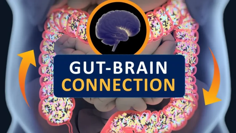 The Connection Between Gut Health and Anxiety