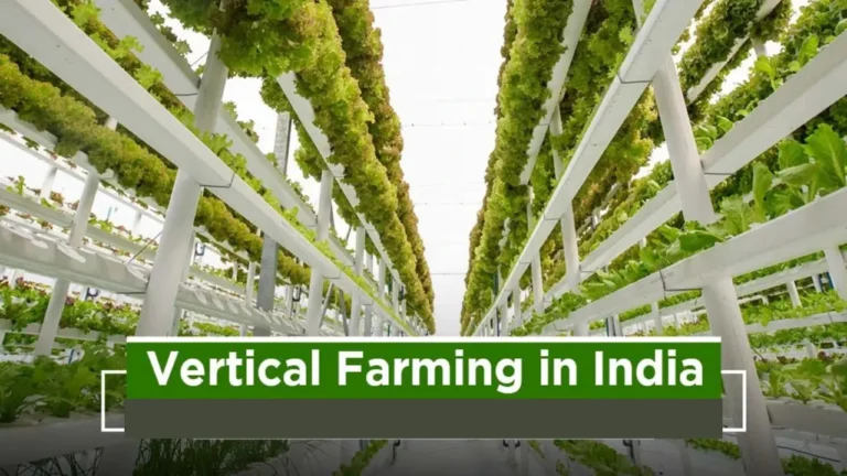 Vertical Farming
